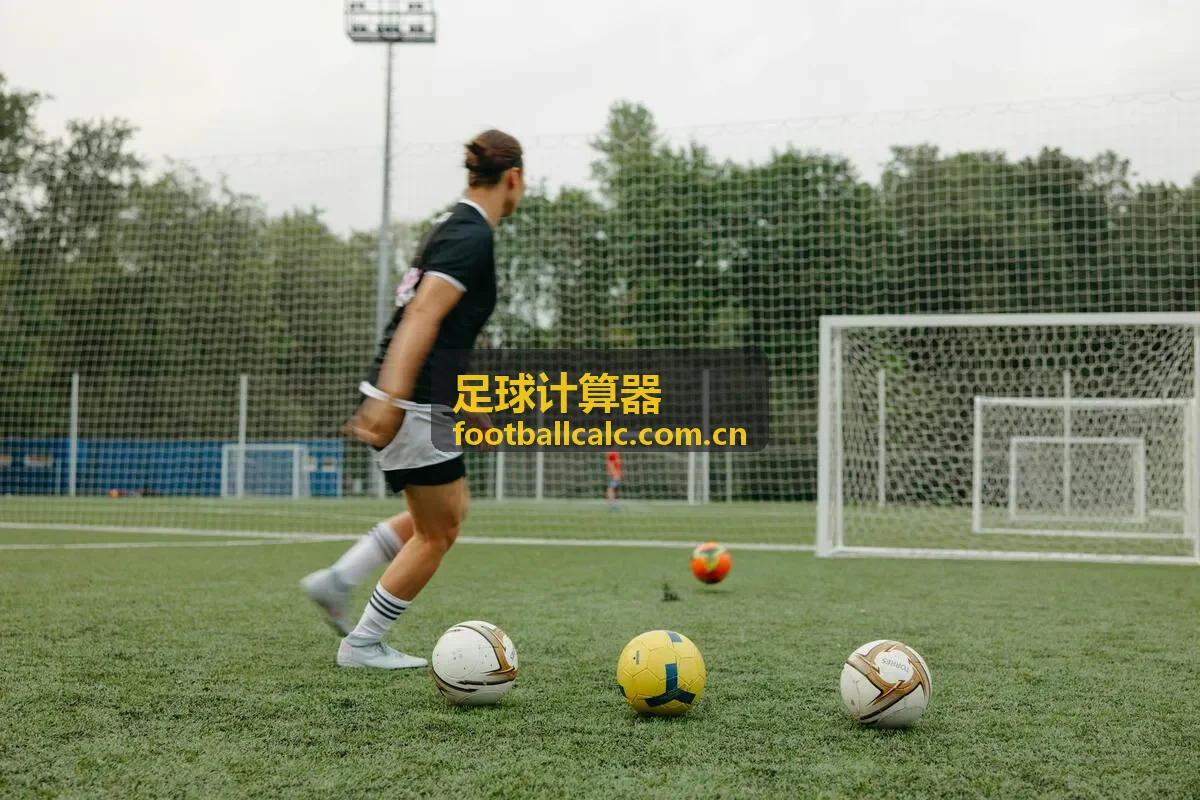 足球计算器赛事数据样本：积分榜模拟